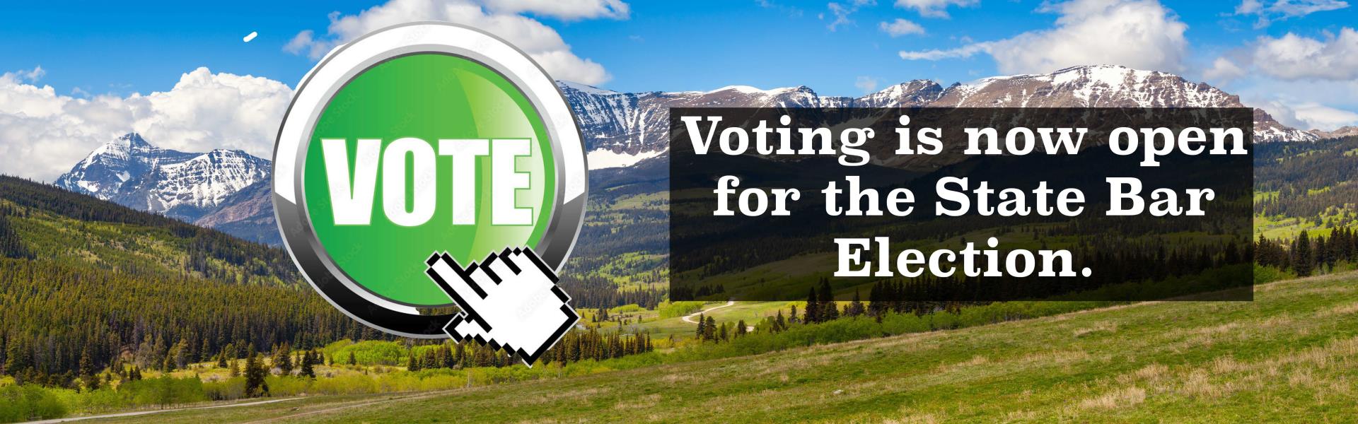 Vote Now