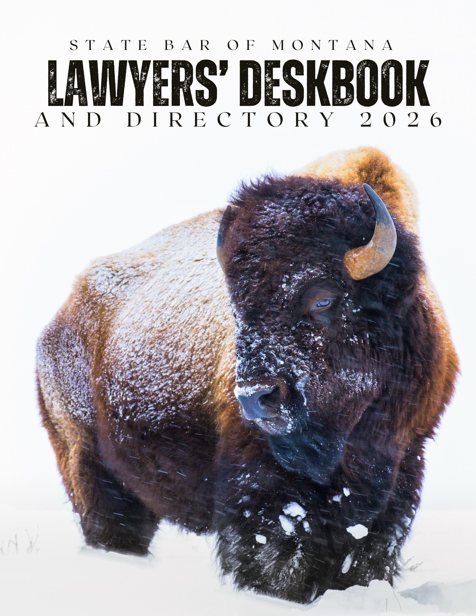 Product Picture of 2026DigiPrintDeskboo