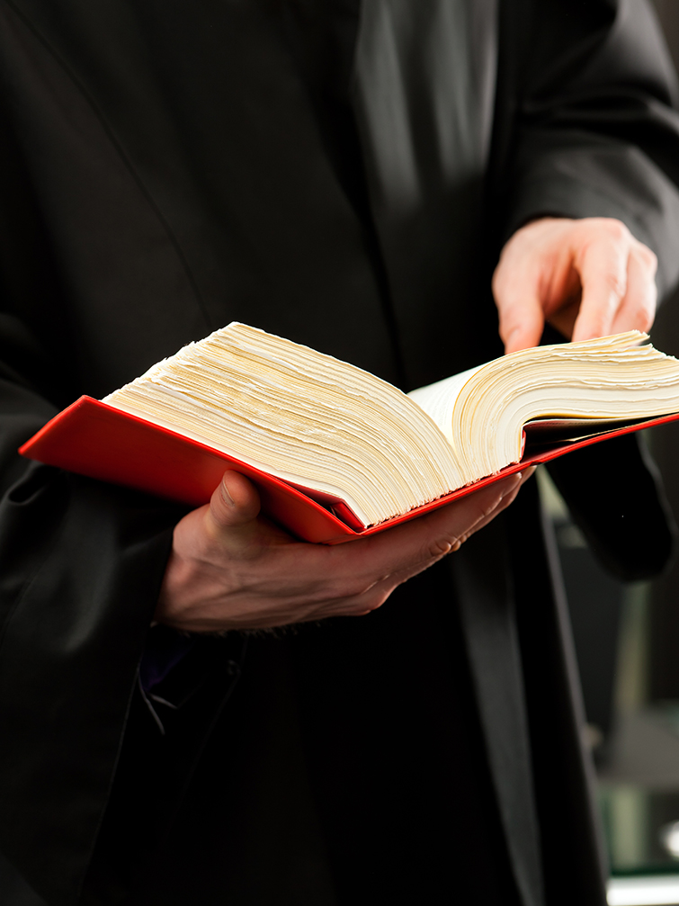 Product Picture of StatutoryInterpretat